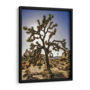 Vistas Del Árbol Joshua I - Rachel Perry | Cuadro decorativo de Canvas Lab