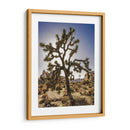 Vistas Del Árbol Joshua I - Rachel Perry | Cuadro decorativo de Canvas Lab