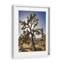 Vistas Del Árbol Joshua I - Rachel Perry | Cuadro decorativo de Canvas Lab