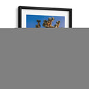 Vistas De Joshua Tree Ii - Rachel Perry | Cuadro decorativo de Canvas Lab