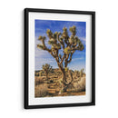 Vistas De Joshua Tree Iii - Rachel Perry | Cuadro decorativo de Canvas Lab