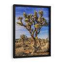 Vistas De Joshua Tree Iii - Rachel Perry | Cuadro decorativo de Canvas Lab