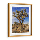 Vistas De Joshua Tree Iii - Rachel Perry | Cuadro decorativo de Canvas Lab
