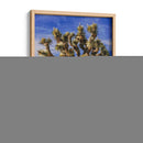 Vistas De Joshua Tree Iii - Rachel Perry | Cuadro decorativo de Canvas Lab