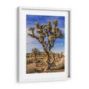 Vistas De Joshua Tree Iii - Rachel Perry | Cuadro decorativo de Canvas Lab