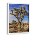 Vistas De Joshua Tree Iii - Rachel Perry | Cuadro decorativo de Canvas Lab