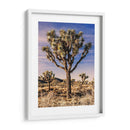 Vistas De Joshua Tree Iv - Rachel Perry | Cuadro decorativo de Canvas Lab