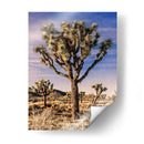 Vistas De Joshua Tree Iv - Rachel Perry | Cuadro decorativo de Canvas Lab