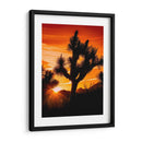 Vistas De Joshua Tree V - Rachel Perry | Cuadro decorativo de Canvas Lab