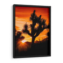 Vistas De Joshua Tree V - Rachel Perry | Cuadro decorativo de Canvas Lab
