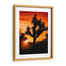 Vistas De Joshua Tree V - Rachel Perry | Cuadro decorativo de Canvas Lab