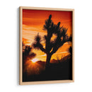Vistas De Joshua Tree V - Rachel Perry | Cuadro decorativo de Canvas Lab