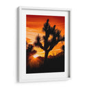 Vistas De Joshua Tree V - Rachel Perry | Cuadro decorativo de Canvas Lab