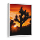 Vistas De Joshua Tree V - Rachel Perry | Cuadro decorativo de Canvas Lab