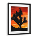 Vistas De Joshua Tree Vi - Rachel Perry | Cuadro decorativo de Canvas Lab
