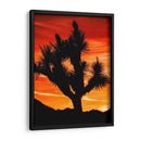 Vistas De Joshua Tree Vi - Rachel Perry | Cuadro decorativo de Canvas Lab
