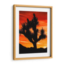 Vistas De Joshua Tree Vi - Rachel Perry | Cuadro decorativo de Canvas Lab