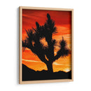 Vistas De Joshua Tree Vi - Rachel Perry | Cuadro decorativo de Canvas Lab