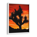 Vistas De Joshua Tree Vi - Rachel Perry | Cuadro decorativo de Canvas Lab