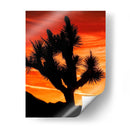 Vistas De Joshua Tree Vi - Rachel Perry | Cuadro decorativo de Canvas Lab