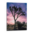 Vistas De Joshua Tree Vii - Rachel Perry | Cuadro decorativo de Canvas Lab