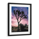 Vistas De Joshua Tree Vii - Rachel Perry | Cuadro decorativo de Canvas Lab