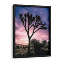 Vistas De Joshua Tree Vii - Rachel Perry | Cuadro decorativo de Canvas Lab