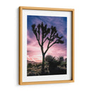 Vistas De Joshua Tree Vii - Rachel Perry | Cuadro decorativo de Canvas Lab
