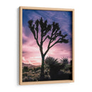 Vistas De Joshua Tree Vii - Rachel Perry | Cuadro decorativo de Canvas Lab