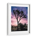 Vistas De Joshua Tree Vii - Rachel Perry | Cuadro decorativo de Canvas Lab