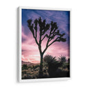 Vistas De Joshua Tree Vii - Rachel Perry | Cuadro decorativo de Canvas Lab