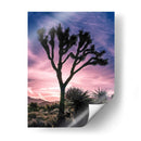 Vistas De Joshua Tree Vii - Rachel Perry | Cuadro decorativo de Canvas Lab