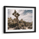 Vistas De Joshua Tree Viii - Rachel Perry | Cuadro decorativo de Canvas Lab