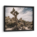 Vistas De Joshua Tree Viii - Rachel Perry | Cuadro decorativo de Canvas Lab