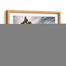 Vistas De Joshua Tree Viii - Rachel Perry | Cuadro decorativo de Canvas Lab