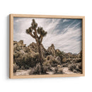 Vistas De Joshua Tree Viii - Rachel Perry | Cuadro decorativo de Canvas Lab