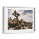 Vistas De Joshua Tree Viii - Rachel Perry | Cuadro decorativo de Canvas Lab
