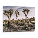 Vistas De Joshua Tree Ix - Rachel Perry | Cuadro decorativo de Canvas Lab