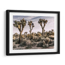 Vistas De Joshua Tree Ix - Rachel Perry | Cuadro decorativo de Canvas Lab