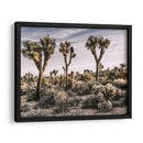 Vistas De Joshua Tree Ix - Rachel Perry | Cuadro decorativo de Canvas Lab