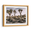 Vistas De Joshua Tree Ix - Rachel Perry | Cuadro decorativo de Canvas Lab