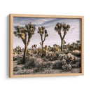 Vistas De Joshua Tree Ix - Rachel Perry | Cuadro decorativo de Canvas Lab