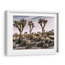 Vistas De Joshua Tree Ix - Rachel Perry | Cuadro decorativo de Canvas Lab