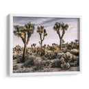 Vistas De Joshua Tree Ix - Rachel Perry | Cuadro decorativo de Canvas Lab