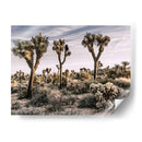 Vistas De Joshua Tree Ix - Rachel Perry | Cuadro decorativo de Canvas Lab