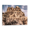 Olchcroppings V - Rachel Perry | Cuadro decorativo de Canvas Lab