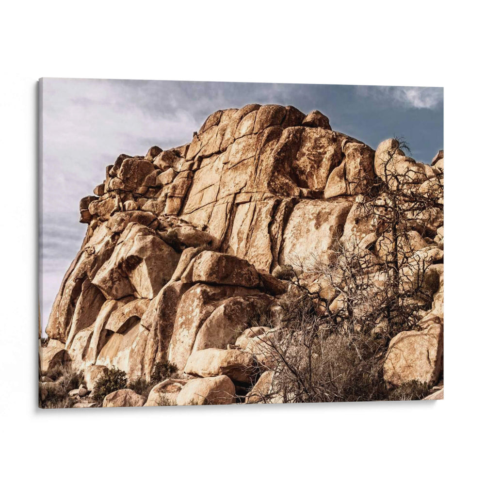 Olchecroppings Vi - Rachel Perry | Cuadro decorativo de Canvas Lab