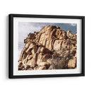 Olchecroppings Vi - Rachel Perry | Cuadro decorativo de Canvas Lab