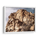 Olchecroppings Vi - Rachel Perry | Cuadro decorativo de Canvas Lab