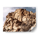 Olchecroppings Vi - Rachel Perry | Cuadro decorativo de Canvas Lab